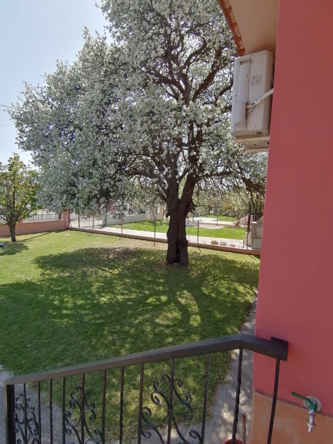 Αξέχαστη Διαμονή - Unforgettable Accommodation Nea Kallikrateia Exterior photo